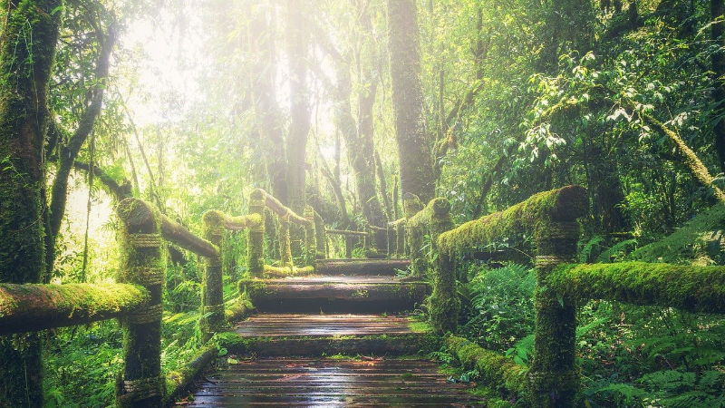 遠隔ヒーリングの効果は魂の浄化・波動上昇・不調和改善！対面ヒーリングと全く同じ効果を得られる！