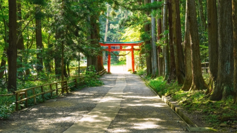 菊理姫はスピリチュアルな縁結びの神様♪菊理姫を祀る神社